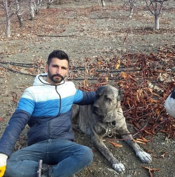 Tokat’ta silahlı kavga: 2 ölü, 1 yaralı!